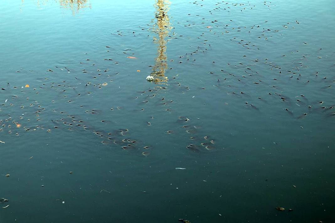 O kentte korkutan manzara: Ekipler apar topar inceleme başlattı! Yağmur suyu kanalları bile inceleniyor 6